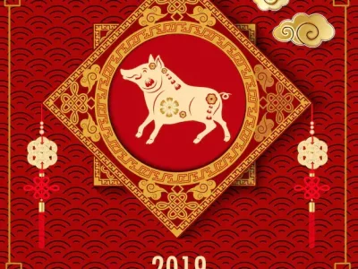 “美丽动人”打一个最佳准确的生肖,最佳精选释义答案解读