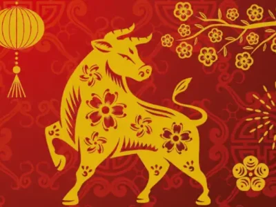 刑中有木生可旺，荷花自古出污泥代表指的什么生肖，最新诗意解释落实