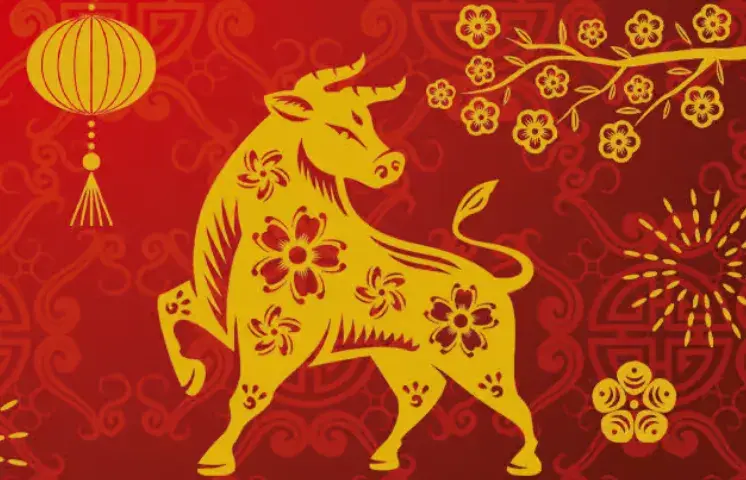 刑中有木生可旺,荷花自古出污泥代表指的什么生肖,最新诗意解释落实