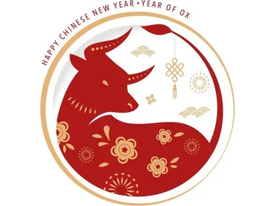 “前有南山白额虎”是指代表猜解一最佳生肖谜底，精选答案落实